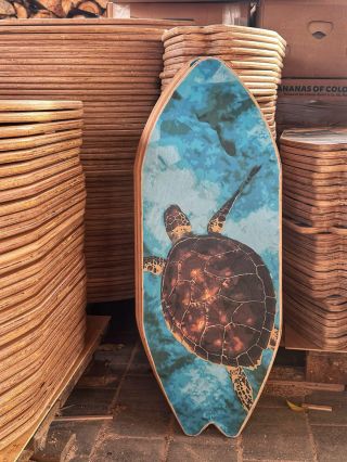 Naše specialita👀? Vlastní design balance boardu! 🎨🐢 Chceš taky originální desku podle sebe? Stačí: 1️⃣ poslat návrh na...